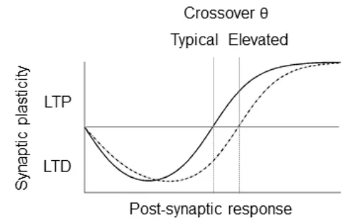 Fig 1 The consequence of a comparatively elevated LTD/LTP crossover threshold that 