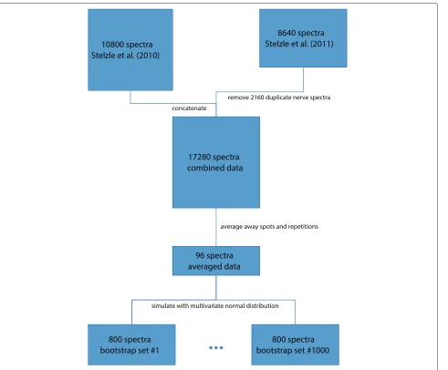 Figure 2 A flowchart that summarizes how the data was manipulated.