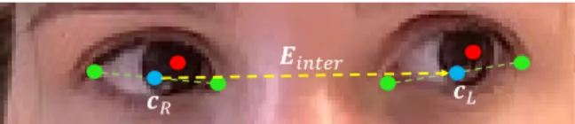 Figure 2: Normalized eye center locations. The eye cen- cen-ters (red) coordinates are normalized such that the vector E inter (yellow) between the two eye centers c R and c L