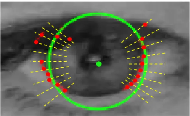 Figure 3: Robust circle fitting for iris refinement. Starting from an initial iris estimate (green center and circle), short scan lines (yellow) perpendicular to the initial circle are used to detect candidate iris boundaries (red)