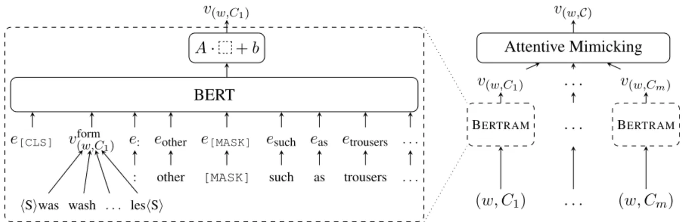 Figure 2: Schematic representation of B ERTRAM - ADD processing the input word w = “washables” given a single context C 1 = “other washables such as trousers 