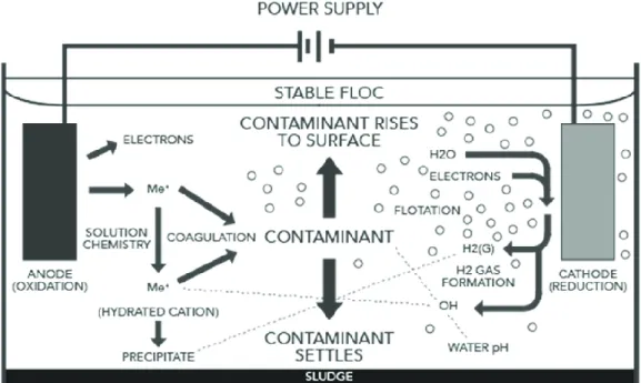 Figure 5: Electrocoagulation Schematic (adapted from Posavic et al., 2019) 