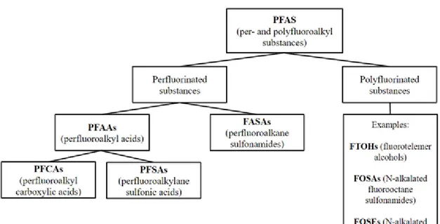 Figure 1: Categorization of PFAS Types 