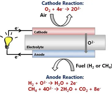 Figure 1.1 The operating principle of a solid oxide fuel cell.   