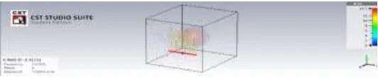 Fig 4.6.4 H-field at 2.4GHz – with tumor 