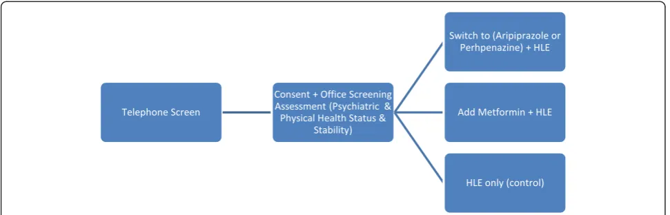 Figure 1 Screening to randomization flow chart. Note: HLE = Healthy Lifestyle Education.