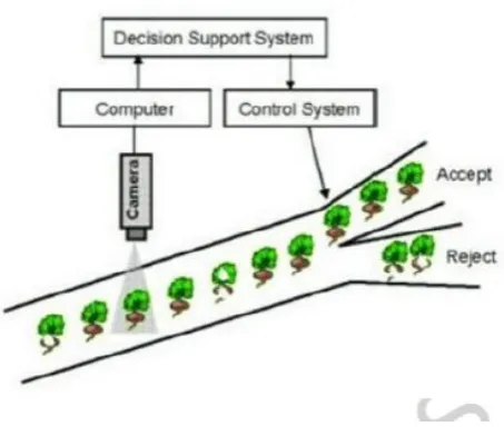 Figure 2.6: Computer Vision during Quality Inspection (Gunasekaran , 