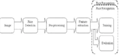 Fig 1: Stages of face recognition 