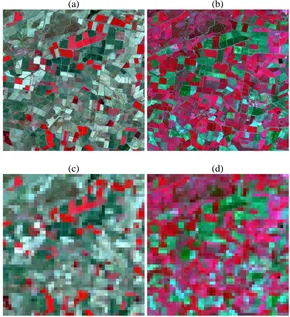 Fig. 2 Images for Coleambally (15 km by 15 km). (a) and (b) are Sentinel-2 images (NIR, red, and green bands as RGB) acquired on 