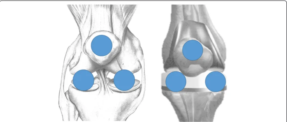 Fig. 2 The standard graphic proposed in this study consists of circular graphics overlaid to a specific background