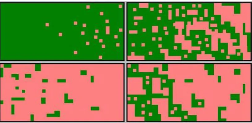 Figure 2. Fragmentation process of farmland (green) by urban (pink) invasion.  Fragmentation can be summarized in several different phases