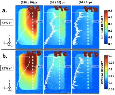 Figure 5: Proton radiographs of the background plasma after the propagation of a quasi-neutral EPB with 48% e+ population in row (a.), and a non-neutral EPB with 23% e+population in row (b.)