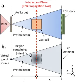 Figure 4: Sketch demonstrating how the experimental proton radiography setup (shownin a.) is simulated by the Particle Tracing code (shown in b.), with the same distancesfor source-to-interaction plane, l, and interaction plane-to-detector, L