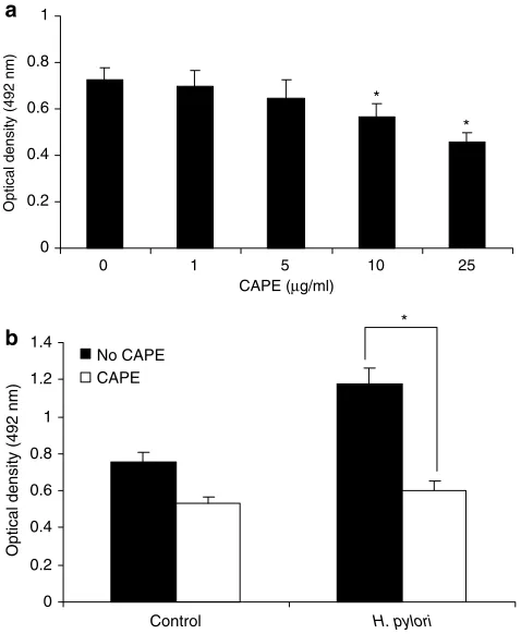 Figure 8Effect of CAPE on cytokine production. Confluent AGS1 h before stimulation withIL-8 production by ELISA technique