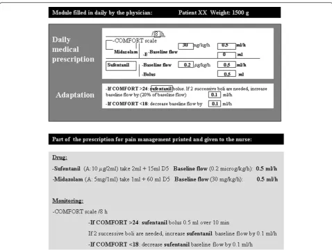 Figure 1 Example of the specific window for pain and discomfort evaluation and management
