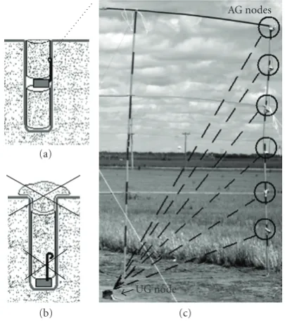 Figure 4(c).