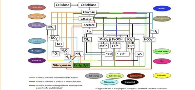 Fig. 8. Schematic of a Microbially Mediated Biogeochemical Reaction Network. The network shows a range of solid and  dissolved organic carbon compounds reacting with terminal electron-accepting components