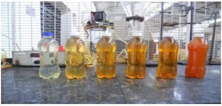 Fig.4: Various blends of biodiesel 