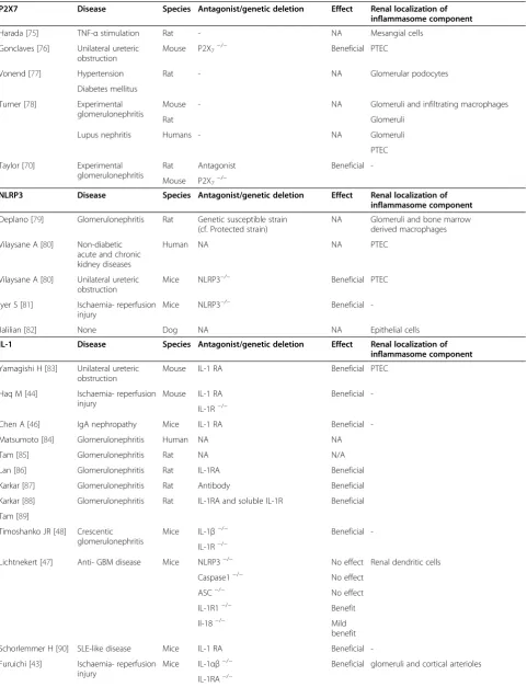 Table 2 Inflammasome and inflammatory renal diseases