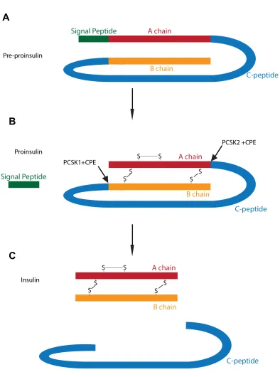 Figure  1-­1  