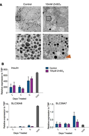 Figure  3-­6  