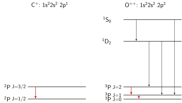 Figure 4: Schematic energy level diagrams for ground state electron conﬁgurations of singlyionized carbon, C+ (left), and doubly ionized oxygen, O++ (right)