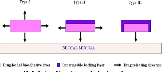 Fig 8: Design of buccal mucoadhesive dosage forms. 