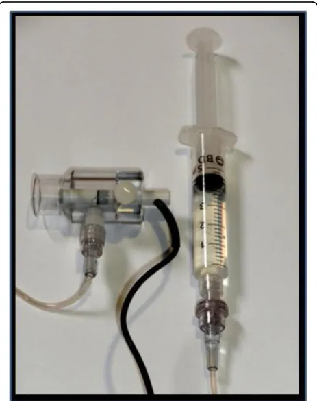 Figure 1 Immersion probe and PalmScan™ device main display.