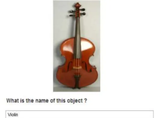 Fig. 5. An image of Violotta (a leaf entity in the data graph)  was shown to a user, who named it as Violin.