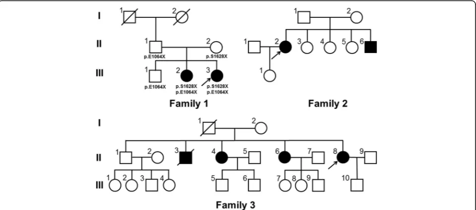 Fig. 1 Pedigrees of 3 ARCA families. Squares indicate males; circles indicate females; the black symbols indicate affected individuals; diagonal linesacross symbols indicate deceased individuals; arrows indicate the probands