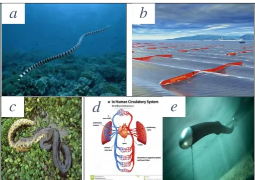 Fig.2. Mimicking the Multi-Features. a, Pelamis[44]. b, Pelamis WEC[45]. c, Anaconda[46]