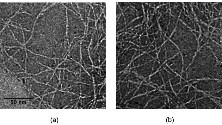 Figure 2.4. Transmission electron micrographs of (a) MAX1 and (b) LNK1. Samples were prepared at pH 7, 50 mM bis-tris propane, 150 mM NaCl buffer, and stained with 1% (w/v) uranyl acetate in deionized water