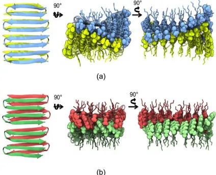 Figure 2.7 Renderings of representative equilibrium structures of (a) MAX1 octamer after 70 ns and (b) LNK1 octamer after 70 ns