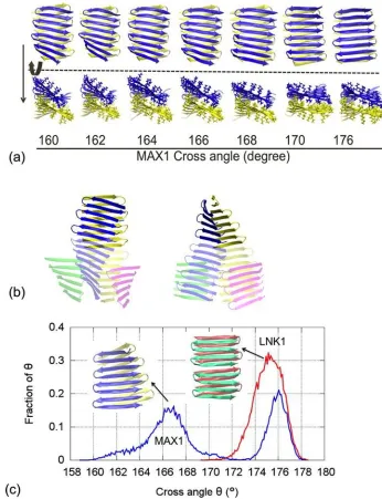 Figure 2.8 (a) Representative conformations of the MAX1 model at different crossing angles