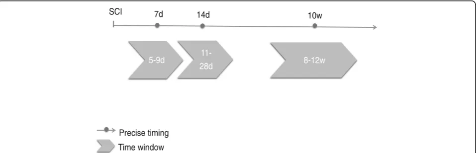 Fig. 2 Scheduled patient’s visits. Blood collection, patient documentation and NK cell assays was performed during indicated time-windows