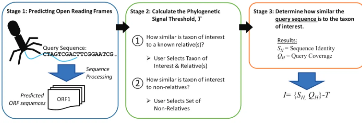 Figure 2 Process for calculating informativity. In Stage 1, users supply their assembled contigs which are processed, predicting ORFs