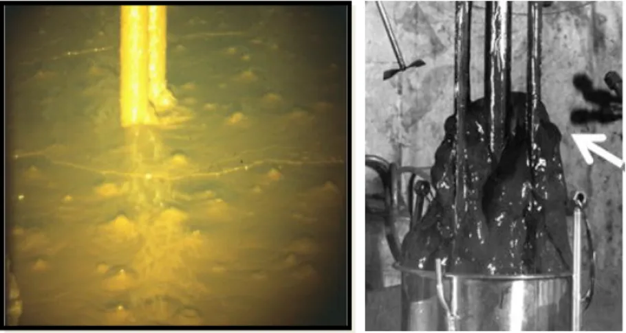 Figure 3. Fresh sludge at SRS (left).  Hydrogen and oxygen are formed by radiolysis, and bubble up through the sludge