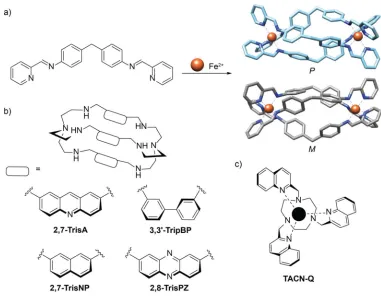 Figure 1.11. DNA three-way junction binding small molecules. (a) Assembly of Fe(II) triple Monchaud and coworkers