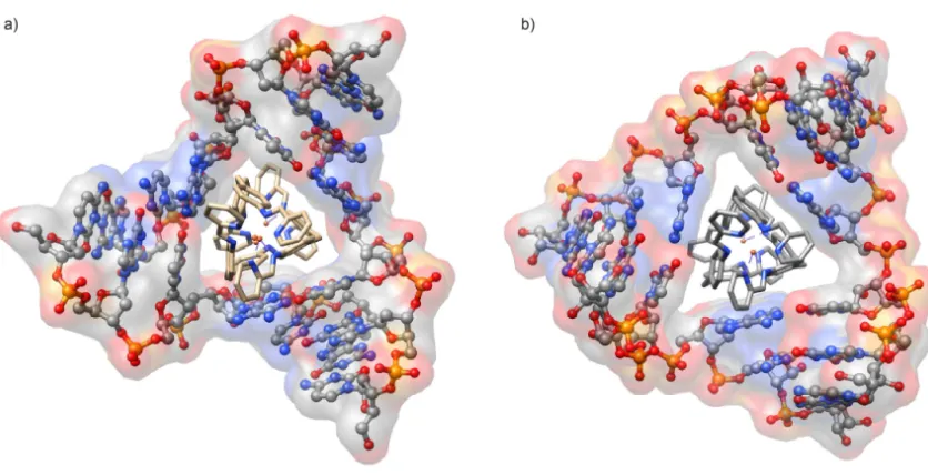 Figure 1.12. Comparison of nucleic acid junctions in the present of metallohelicates. (a) DNA three-way junction (PDB: 2ET0)