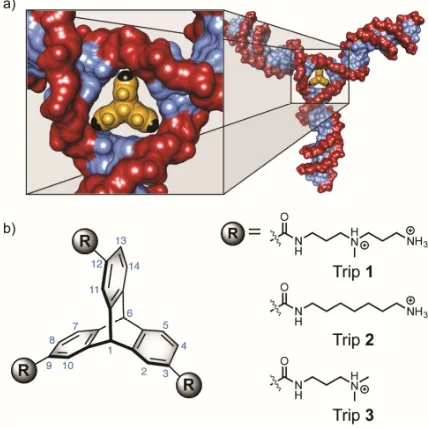 Figure 2.1. Triptycene scaffold for targeting nucleic acid three-way junctions. (a) Triptycene in the putative binding site of a DNA 3WJ; note the relative sizes