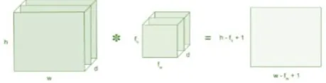 Fig 2- Convolutional Layer of CNN 