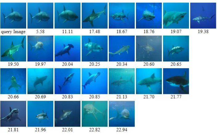 Figure 9: Execution times in seconds on diﬀerent setups