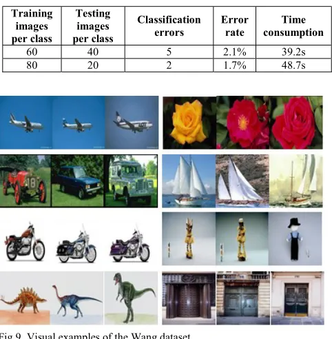 Fig.9. Visual examples of the Wang dataset 