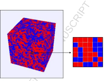Figure 7. Ising model simulation of magnetization. The volume elements or domains can be ACCEPTED MANUSCRIPTeither spin up (red) or spin down (blue)
