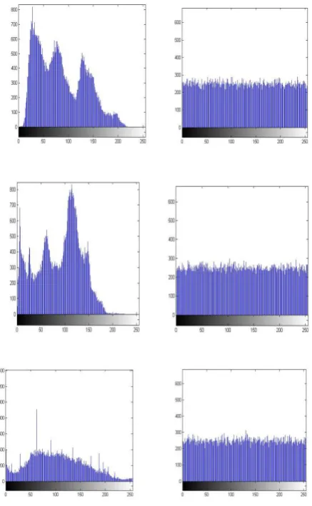 Fig. 13 Correlation of two adjacent pixels for standard image 
