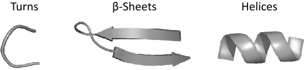 Figure 2.1. Design of Peptides to Mimic Bioactive Structures 