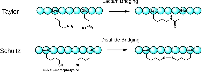 Figure 2.2. Early Peptide Stapling Tactics 