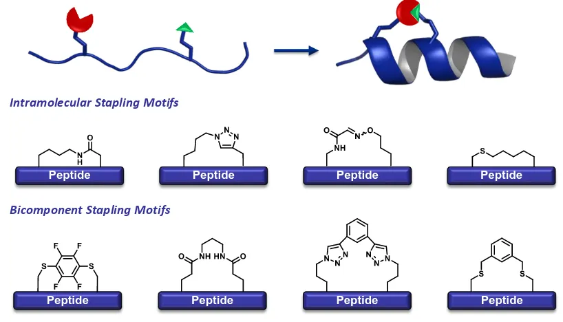 Figure 2.4. Tactics Developed for Peptide Stapling  