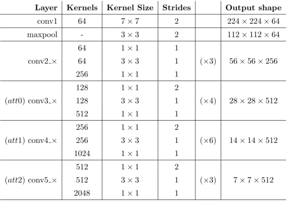 Table 5: ResNet-50 base architecture for classification