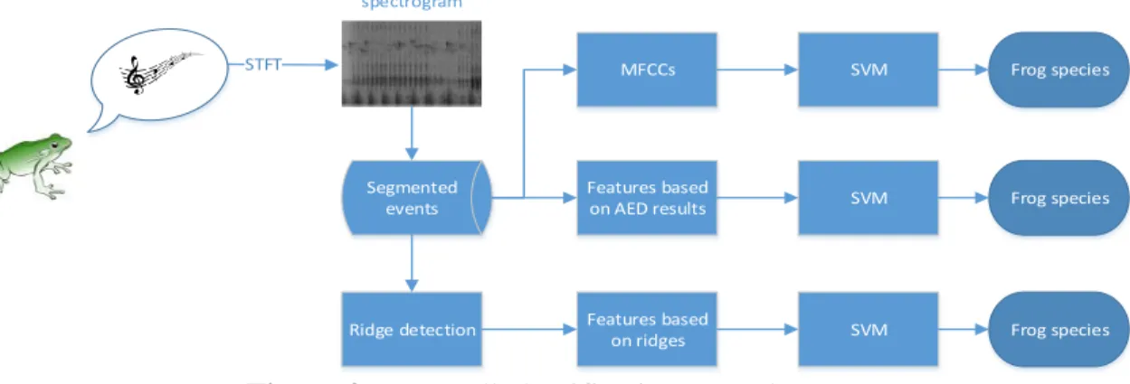 Figure 2: Frog call classification procedure. 
